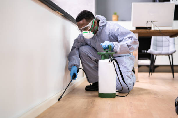 Best Pest Control for Hotels  in St Johns, MI